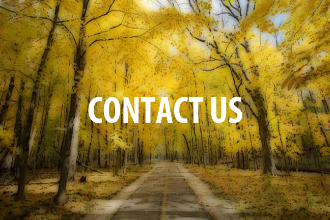 Contact Us about any questions you might have